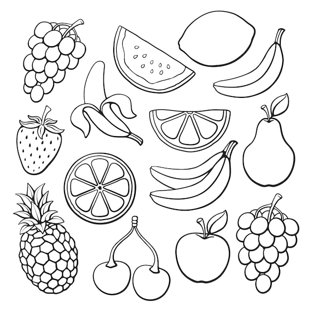 Vector illustration set of fruits and berries hand drawn doodles healthy vegetarian food