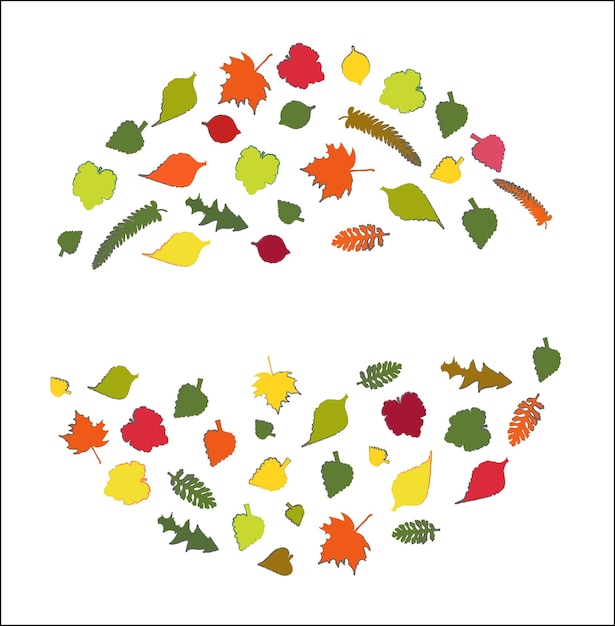 Vector illustration Set of natural autumn leafs