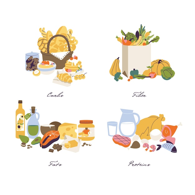 Vector illustration set of nutrition categories macronutrients. Fiber, proteins, fats and carbs illustrates in food products.