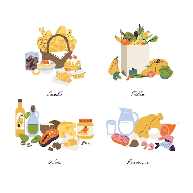 Векторная иллюстрация набор макроэлементов категорий питания. клетчатка, белки, жиры и углеводы содержатся в пищевых продуктах.