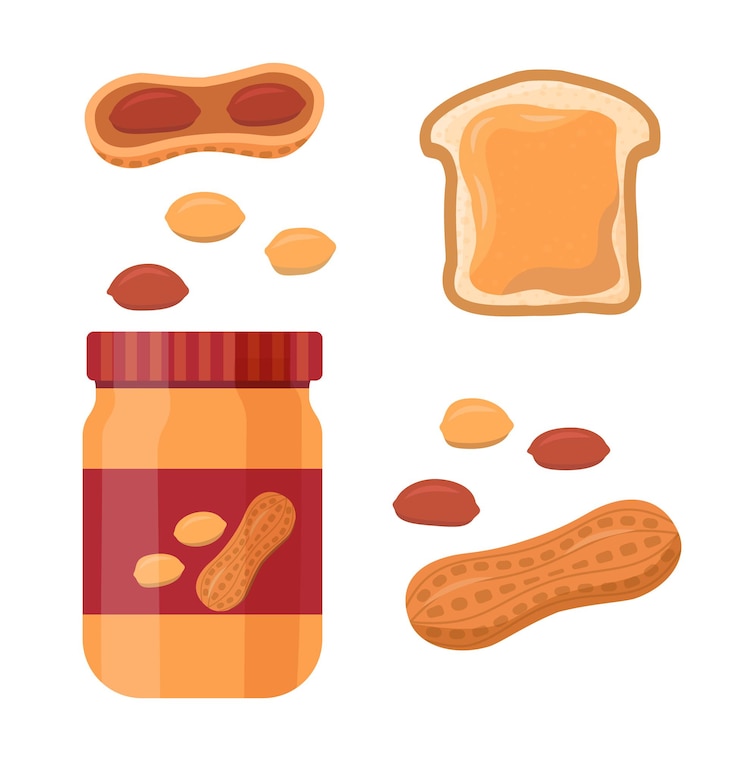 Vector vector illustration set of peanuts on white background
