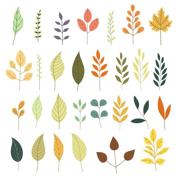 Vector vector illustration set of simple leaves