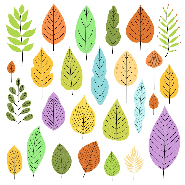 Vector vector illustration set of simple leaves