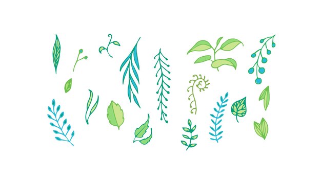 Vector illustration Set with graphic elements green and blue leaves and twigs