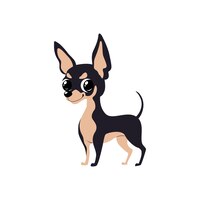 Vector vector illustration of shorthair cute smiling dog chihuahua breed or russian toy terrier breed