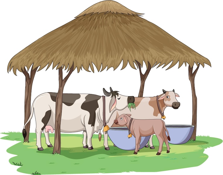 वेक्टर vector illustration showing cows and calf under a thatched roof