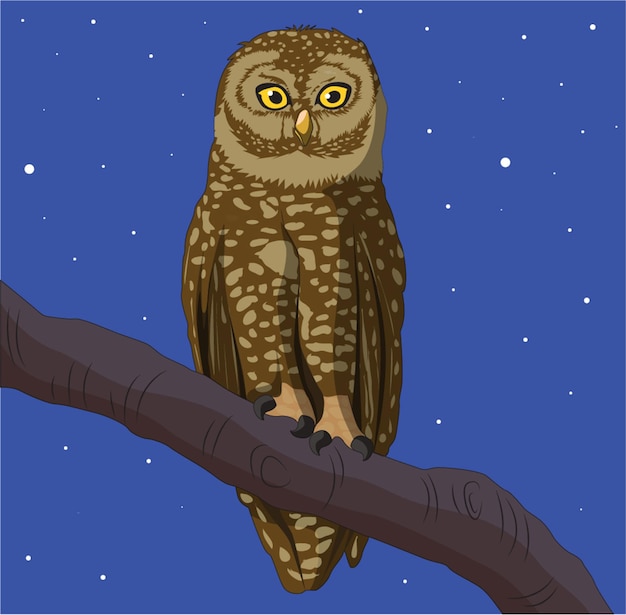 Вектор Векторная иллюстрация, показывающая сову, сидящую на ветке дерева ночью