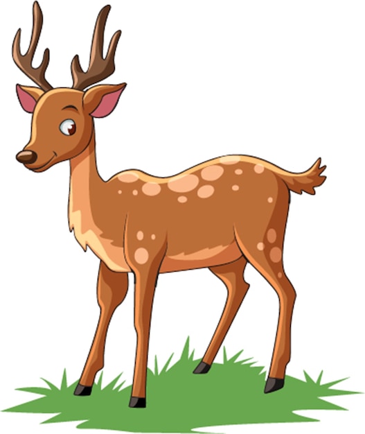 Vector vector illustration showing smiling deer standing on grass