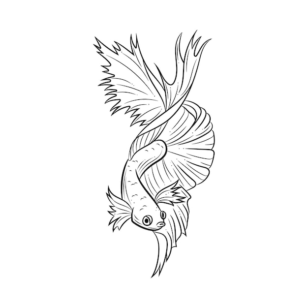 Vector illustration of a siamese fighting fish also known as betta fish
