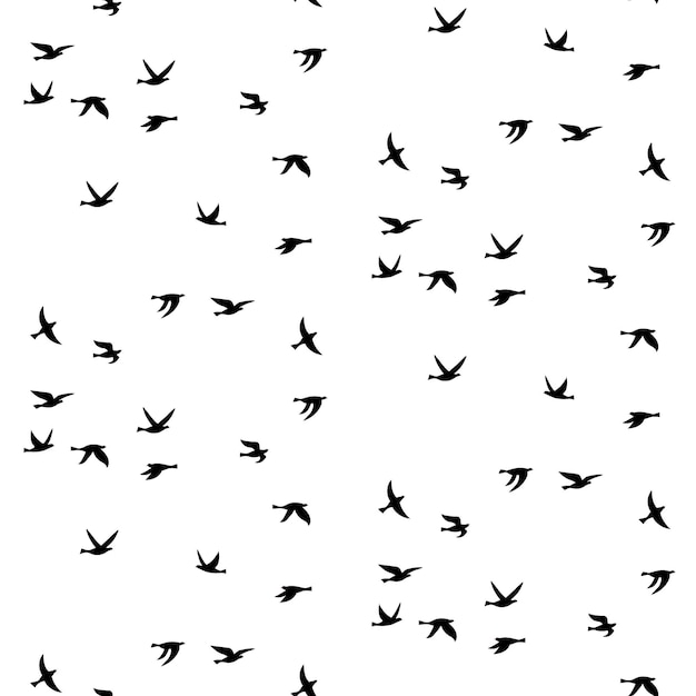 Vector illustration of silhouette of birds. seamless pattern with flat contours of flying birds