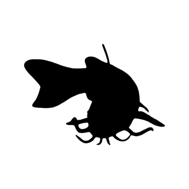 Vector vector illustration silhouette of fish catfish