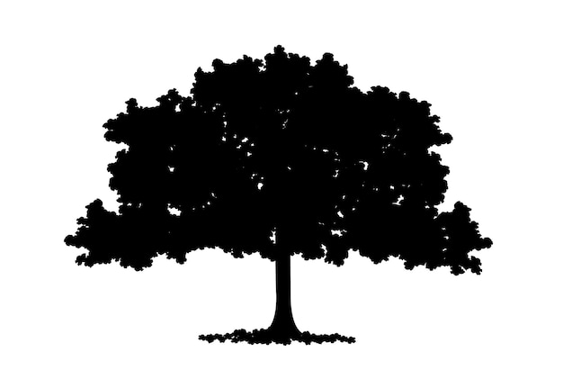 Illustrazione vettoriale di una silhouette di un albero a fiori lussureggianti in colore nero isolato