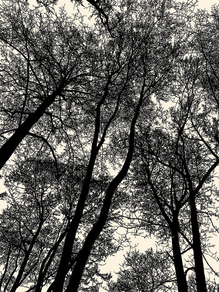 Vector vector illustration of silhouettes deciduous trees in winter forest