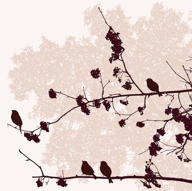 Vector illustration of silhouettes sparrows sitting on rowan branches in autumn park