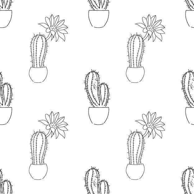 Vector illustration sketch seamless pattern with cactus on a white background