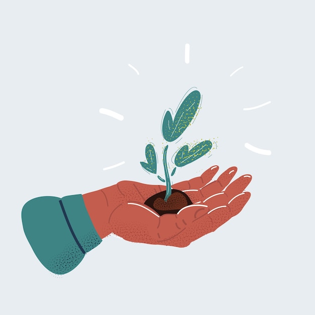 Vector vector illustration of small plant in palm of human hand on white background