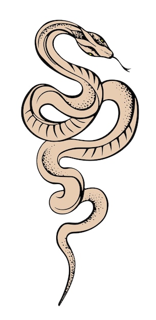 Vector vector illustration of a snake icon sketch of an artistic tattoo logo freehand drawing snake