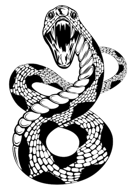 Vector vector illustration of snake with an open mouth on white background