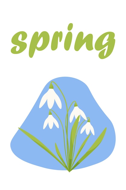 vector illustration of snowdrops and the lettering spring first spring flowers