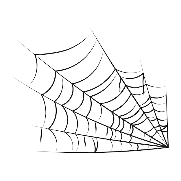 クモの巣のベクトル イラスト