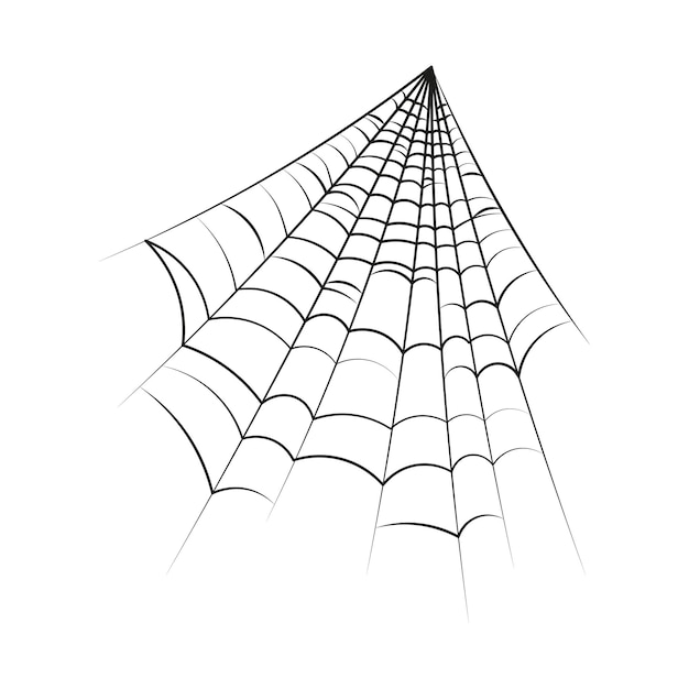 Векторная иллюстрация паутины