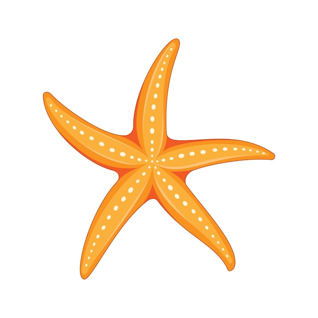 vector illustration starfish isolated on white background