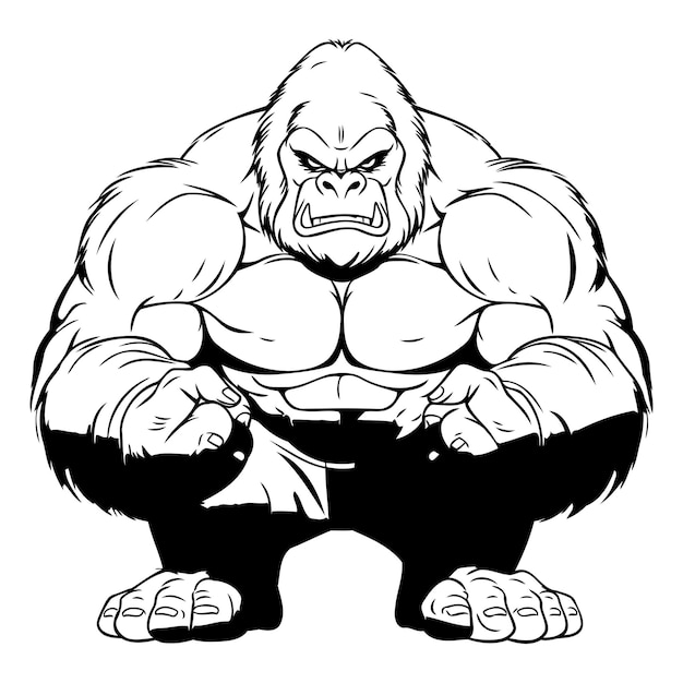 Vector illustration of a strong gorilla with big muscles Isolated on white background