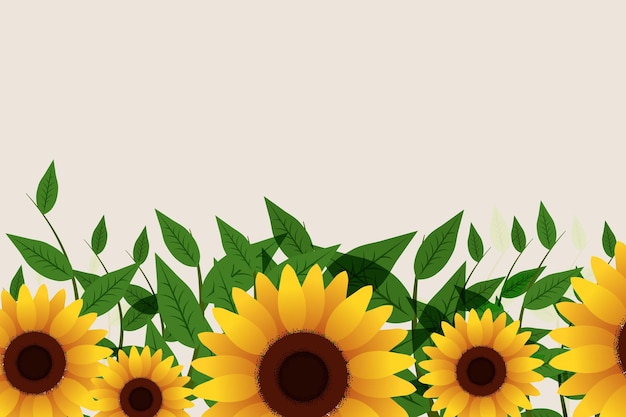 Vector vector illustration sunflower border frame design concept