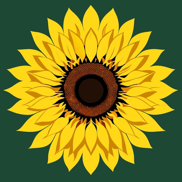 vector illustration of a sunflower on a green background