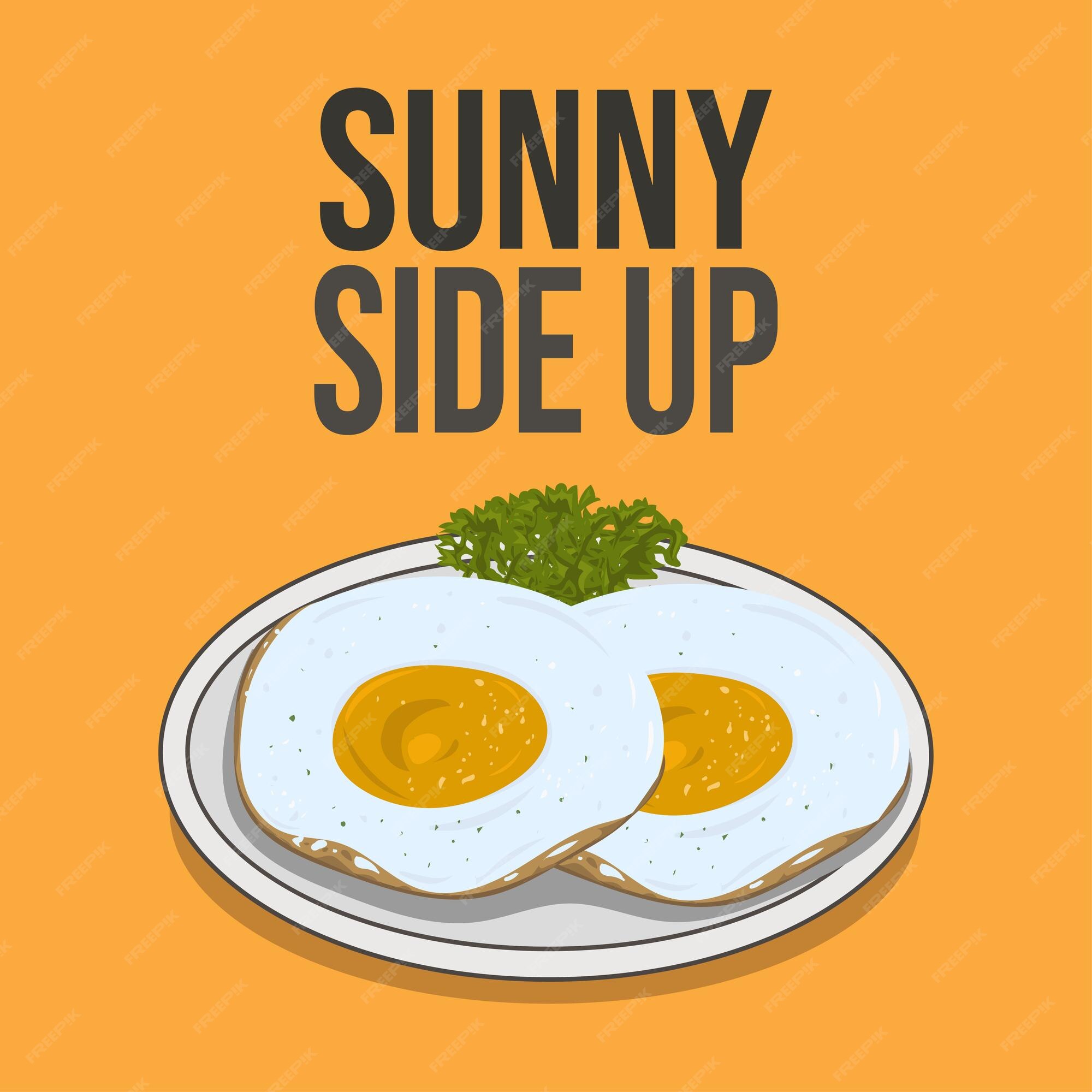 Premium Vector  Fried egg sunny side up eggs vector flat design realistic  illustration art