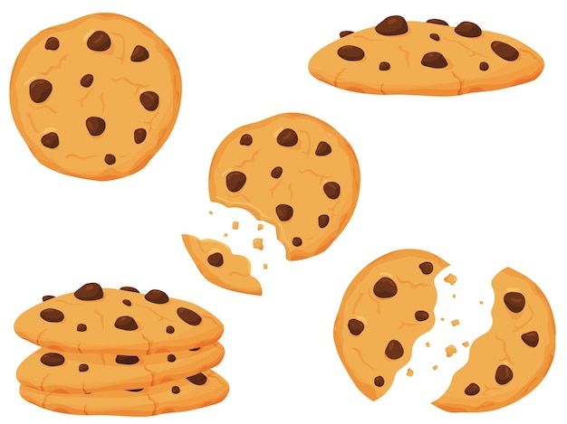 Vector illustration of sweet cookies with chocolate pieces