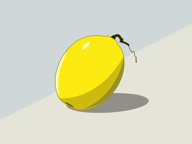 Векторная иллюстрация. Сладкая дыня на цветном фоне, желтые фрукты, много витаминов