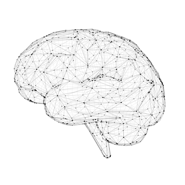 Illustrazione vettoriale cervello tridimensionale su sfondo bianco