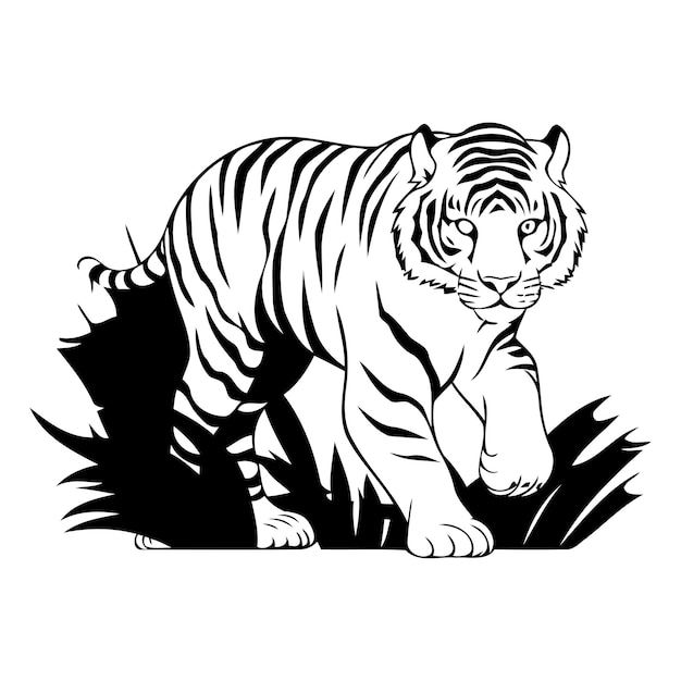 Vector illustration of a tiger in the jungle Isolated on white background