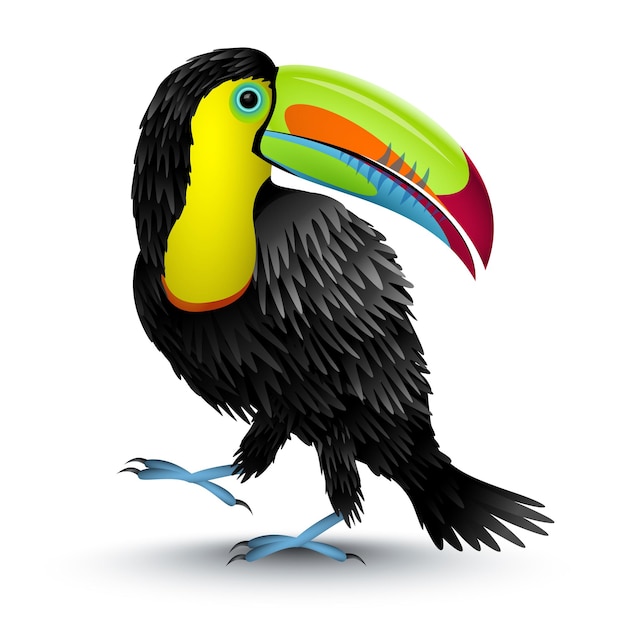 Vector illustration of a toucan