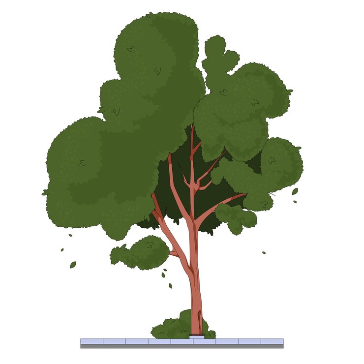 Vector vector illustration tree on the street green deciduous city background