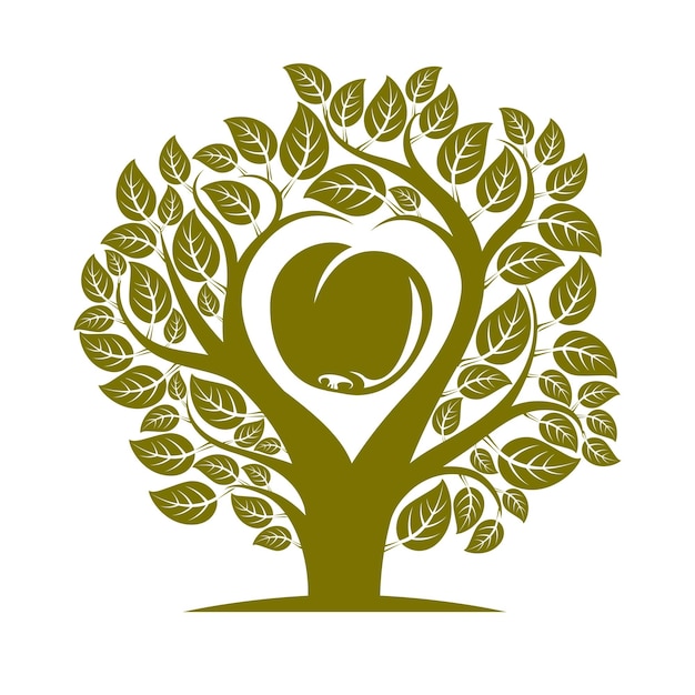 Векторная иллюстрация дерева с листьями и ветвями в форме сердца с яблоком внутри. Символическая картина идеи плодородия и плодородия.