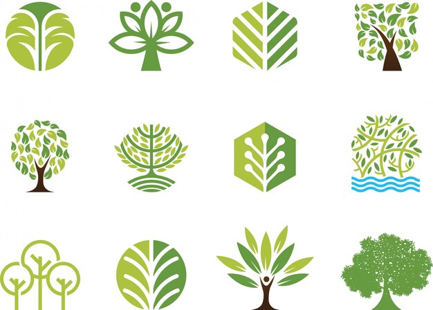 Vector vector illustration tree