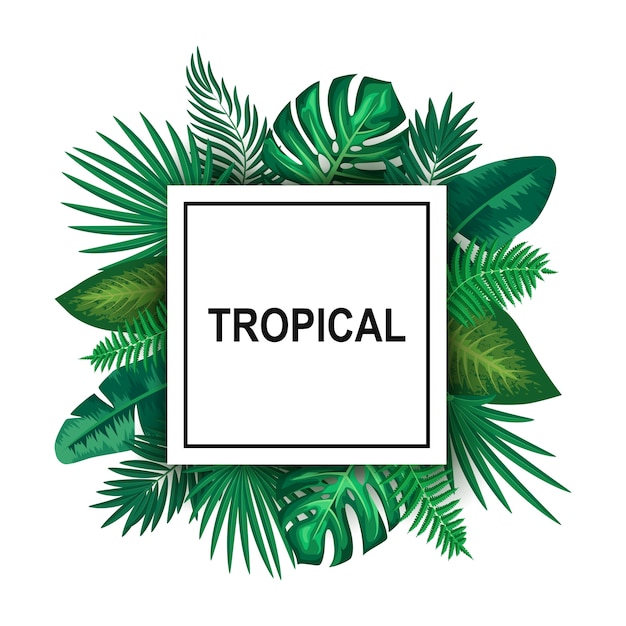 Vector illustration of trendy Summer Tropical Leaves