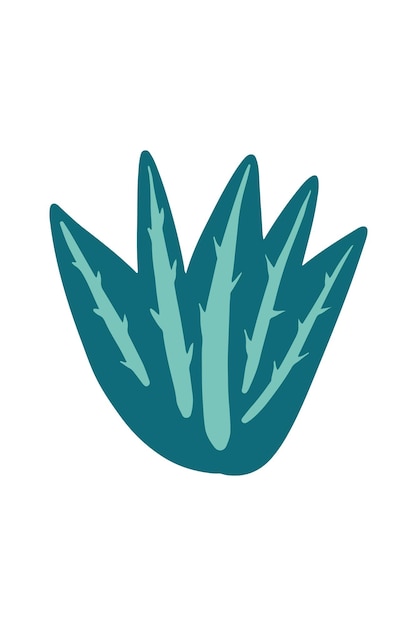 Vector illustration of tropical aloe vera drawn in a flat style.