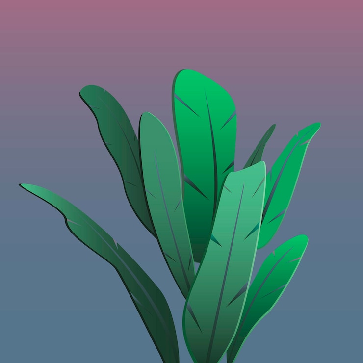Vector vector illustration of a tropical plant plant on a purple gradient background