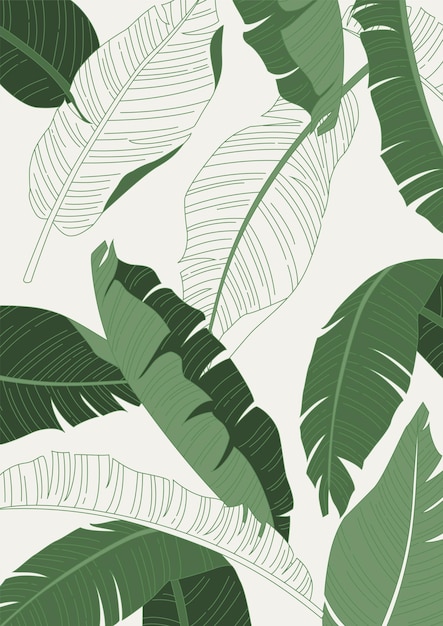 Vector vector illustration of tropical plants