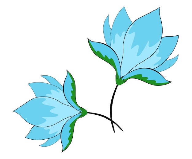 Vector illustration two blue flowers on a white background