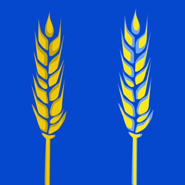 Vector illustration of two ears of wheat, one of which is blue-yellow in color.