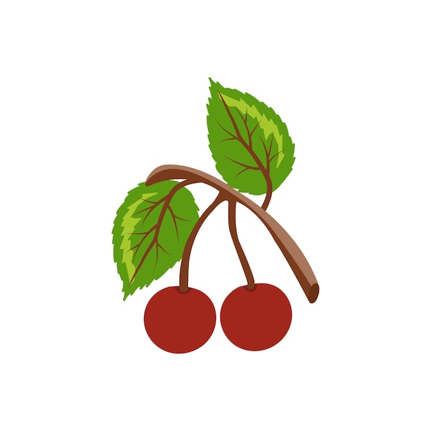 Vector illustration of two red cherries