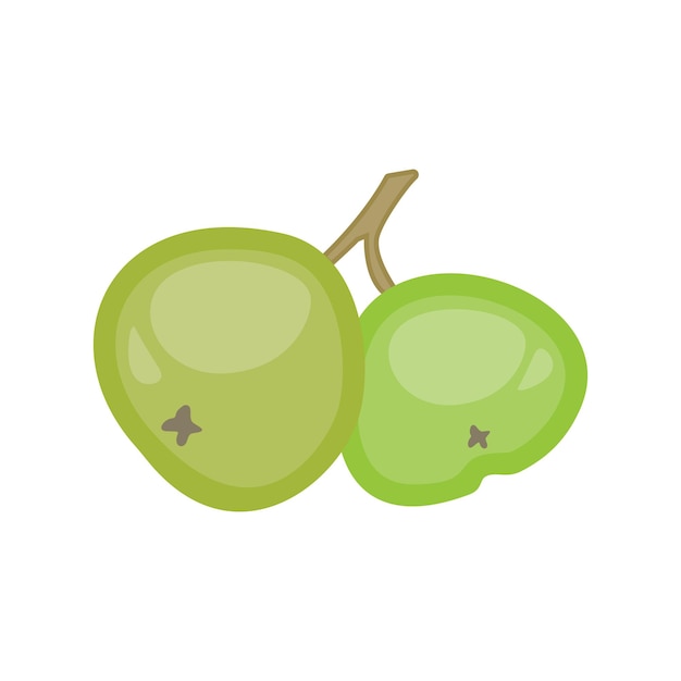 Vector illustration of a twocolored pomegranate