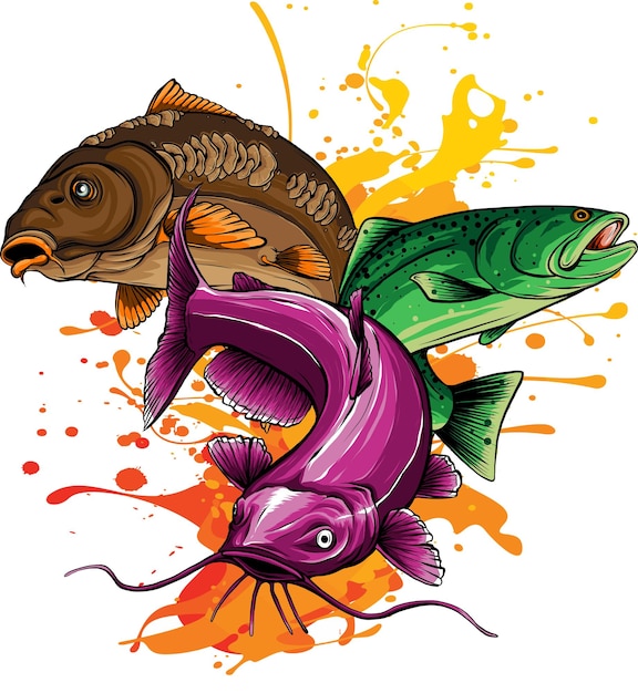 vector illustration of various freshwater fishes