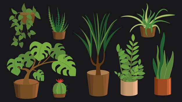 Vector illustration of various houseplants on black background