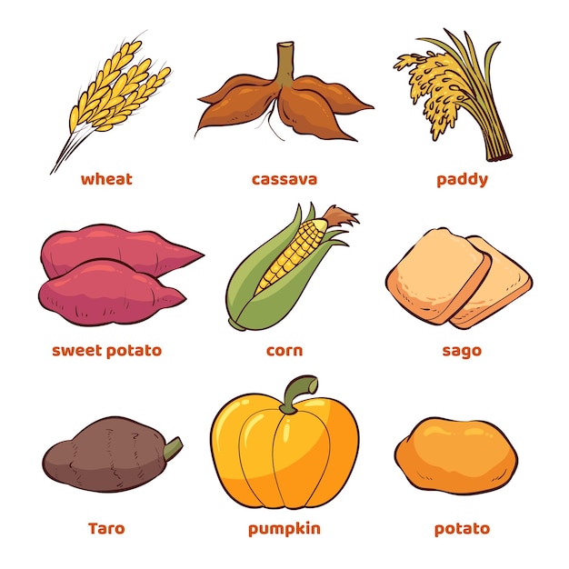 Vector illustration of various staple foods