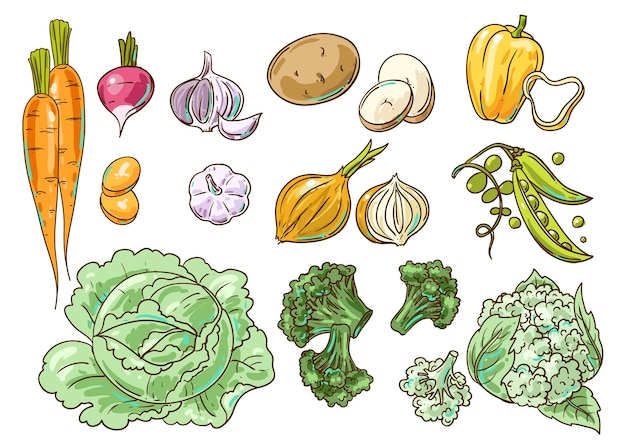 ベクトルイラスト野菜